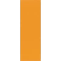 ジョインテックス マグネットシートツヤ無 橙 B187J-O 1セット(10枚)（直送品）