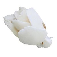 大仙 手作り花材 ソラフラワー ローズプチ ホワイト 白　20輪入 Z001S0270 1セット（直送品）