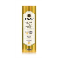 銀座ステファニー化粧品 リーチ プロポリテラ 歯みがき レモンハニーミントの香り 120g 4560279569272 1個×20点セット（直送品）