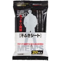 ペーパーテック メンズ汗ふきシート 4580131771094 20枚×40点セット（直送品）
