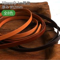 {Rtf {v kve[v 10mm×5mؔJbg col.2L MTLS1010-2-5Miij