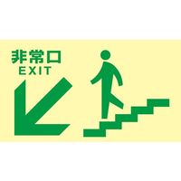 高輝度蓄光避難誘導標識 非常口 TKN 東京都条例適合品