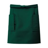 ボストン商会 マエカケ ミドリ F 27323 1枚 64-9070-33（直送品）