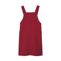 ボストン商会 ムネアテエプロン エンジ F 27326 1枚 64-9070-53（直送品）