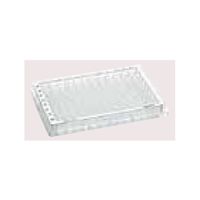 Microplate 96/VーPP， DNALoBind， PCR clean， 80枚(5袋×16枚) 0030 603.303（直送品）