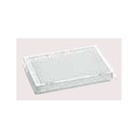 Microplate 384/VーPP， DNALoBind， PCR clean， 80枚(5袋×16枚) 0030 623.304（直送品）