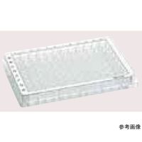 Microplate PCR clean ボーダー