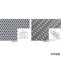 NR5016-005（直送品）