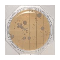 島津ダイアグノスティクス クリーンスタンプ25「ニッスイ」 SCD寒天(一般生菌数測定用) 30枚 06791 1箱(30枚)（直送品）