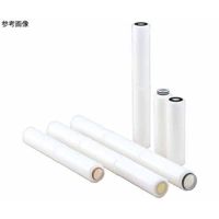 アドバンテック東洋 トーセル TCFーG100ーS1FS 223N1113 1本 64-1016-73（直送品）