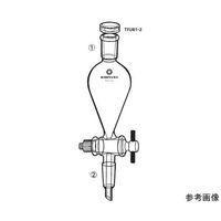 桐山製作所 フッ素樹脂栓接続型分液ロート（スキーブ型） TFU81-2-6 1個 64-1068-19（直送品）