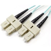 エイム電子 OM3光ファイバーケーブル 10m AFP2-DSC/DSC-10G-50-10 1本 64-1246-52（直送品）