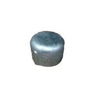 リケン 白 キャップ RCF-CA_65A 1個 64-3291-18（直送品）