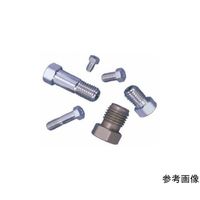 VICI インターナルナット ロング SUS 10個入 1/8”X1.075” XLZN2-10 1パック(10個) 64-3702-52（直送品）