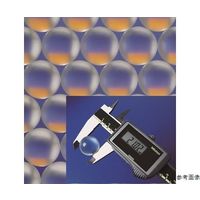 Micro Essential Laboratory ガラスビース 外径3.0±0.2mm 8413030 1袋 64-3728-30（直送品）