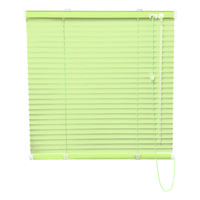 立川機工 FIRSTAGE ファーステージ ブラインド 浴室 1200×1700mm スカイグリーン TK-5129 1台（直送品）