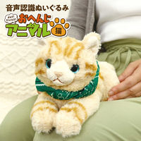 すみっコぐらし　ねこ　ぬいぐるみ　スーパーメガクオリティ 全長70cm！特大サイズの『すみっコぐらし特大ぬいぐるみ（ねこ