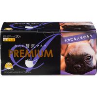 大人のぜい沢マスクプレミアム個装 4931839214602 30枚×10点セット 原田産業（直送品）