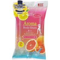 スッキリシルエットアロマボディシート 4972453417239 20枚×10点セット コーヨー化成（直送品）
