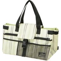 スケーター レジカゴ保冷リュックバッグ ストライプKBCRY20 4973307494741 1個×4点セット（直送品）