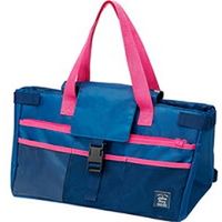 スケーター レジカゴ保冷リュックバッグ ネイビーKBCRY20 4973307494772 1個×4点セット（直送品）