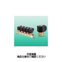 CKD 直動式2ポート弁 通電時開形 AB31-02-6-B2GS-DC24V 1個（わけあり品）