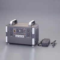 日動工業 1000Wポータブル電源 LPE-R1000Z 1個（直送品
