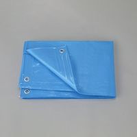 エスコ（esco） 0.19mm ブルーシート（#2500/防炎） EA911AB