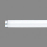 パナソニック 紫外線吸収膜付蛍光灯 直管 20形 ラピッドスタート式　内面導電被膜方式 白色 FLR20SWMXPRF3 10本（直送品）