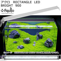 チャーム アクロ　ＬＥＤ　ＲＥＣＴＡＮＧＬＥ　ＢＲＩＧＨＴ　900　5500ｌｍ 106603 1台（直送品）