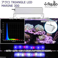 チャーム アクロ　ＴＲＩＡＮＧＬＥ　ＬＥＤ　ＭＡＲＩＮＥ　300　20000Ｋ 335550 1台（直送品）