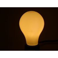 ナガオカ フィラメント型LEDランプ