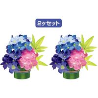 アルファ アジサイ楓ペアポット（２個１セット） TE2-0400（直送品）