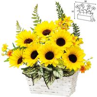 アルファ ひまわりアレンジバスケット TE2-0408 1個（直送品）