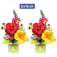 アルファ トロピカルペアラッピング（２個１セット） TE2-0412（直送品）
