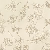 ヘッズ ベルプランツ包装紙-1 500枚(50枚×10) BEP-1W 1セット(500枚入)（直送品）