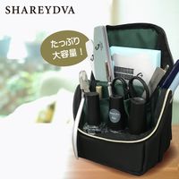 ＳＨＡＲＥＹＤＶＡスタンディングユースフルケース113561 1個     1個（直送品）