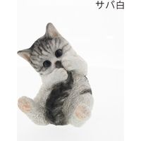 紅石 ベニーズキャット（シッポをハムハム）ＱＹー１１７　1個（直送品）