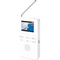 STAYERホールディングス ワンセグＴＶ　２インチ乾電池式　ＳＨーＧＤＴＶーＤＣ　1台（直送品）