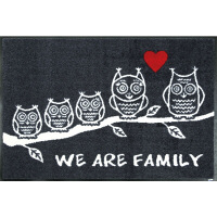 wash+dry薄型で丈夫な洗える玄関マット We are Family 50×75cm G023A 1枚 クリーンテックス・ジャパン（直送品）