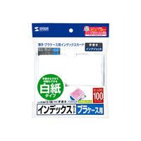 サンワサプライ プラケース用インデックスカード・薄手 JP-IND12-100 1セット(5個)