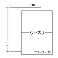 東洋印刷 レーザプリンタ用マルチラベル CLR7 1箱(100シート×10)