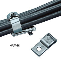 パンドウイットコーポレーション ステンレスアクセサリー ステンレススチールマウント MTM1H-C 1袋(100個)（直送品）