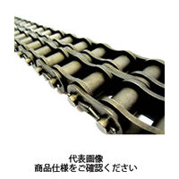 片山チエン KCMローラチェーン 100-2RPT 1個（直送品）