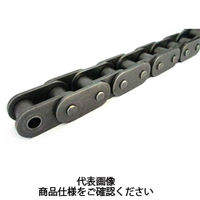 片山チエン KCMローラチェーン 100F-RPT 1個（直送品）