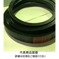 バンドー化学 Vベルトレッド(D形) D270 1セット(5本)（直送品）