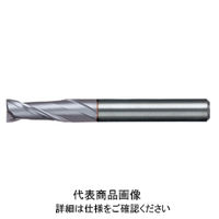 日進工具 Xコーティング リード30エンドミル NX-30Xφ3 01-00031-00300 1本（直送品）