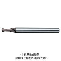 日進工具 無限コーティング 2枚刃ラジアスエンドミル MSRS230φ2.5XR0.1 08-00700-02501 1本（直送品）