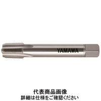 彌満和製作所 PTハンドタップLS 1’ ー LS 2 L-150 S-PT 1' - 11 1本（直送品）