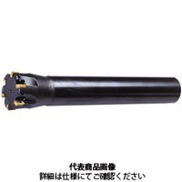 MOLDINO アルファ高送りラジアスミルASR多刃タイプ ASRM2025Rー4 1本（直送品）